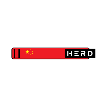 CHINA 🇨🇳 WEIGHTLIFTING BELT