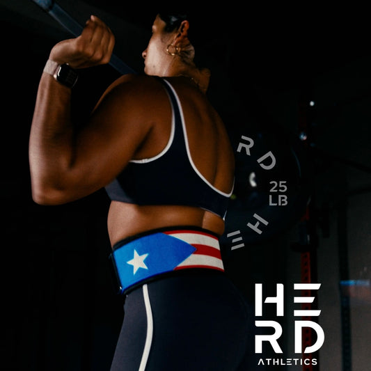 HERD x PR 🇵🇷  WEIGHTLIFTING BELT